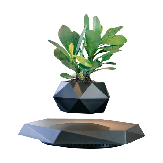 Magnetic levitating planter with geometric pot