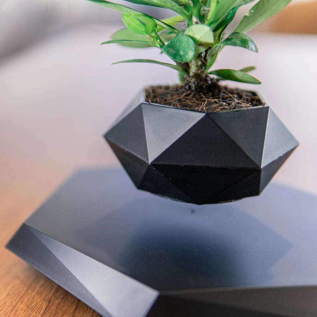 Magnetic floating planter home decor